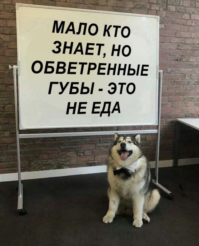 Всего понемногу. От 15.03.23