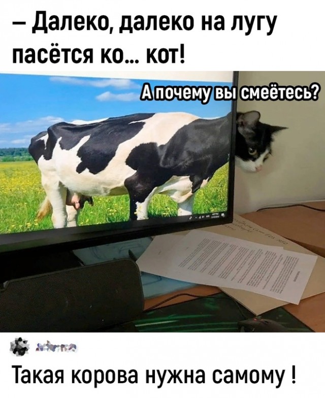 Пятничная скупка краденого из сети 11.08.2023