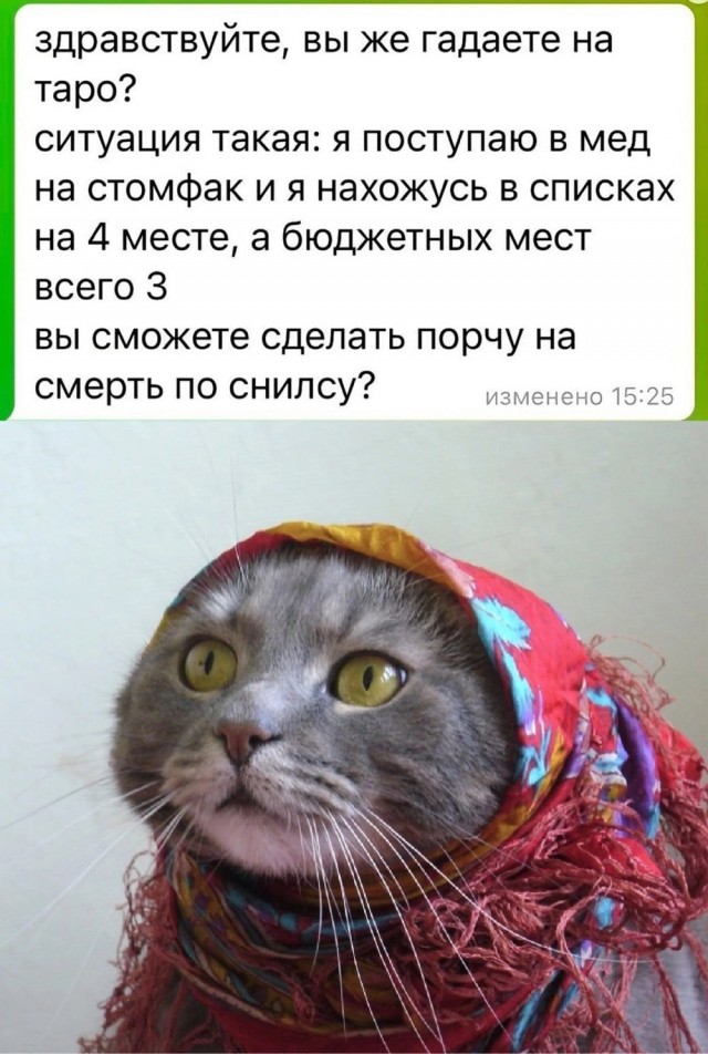 Так себе картинки 17.08.23