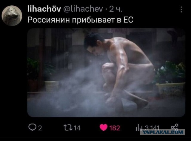 ЕС запретил россиянам ввозить личные автомобили, смартфоны и шампуни