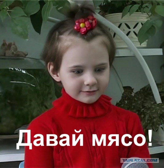Обзор сухпайка в израильской армии