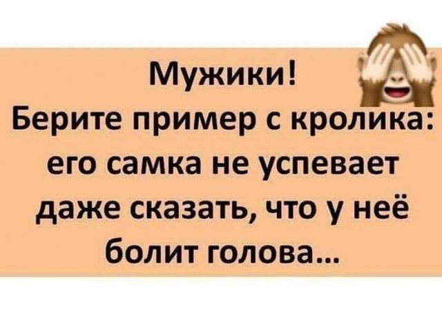 Отряд быстрого деградирования №21