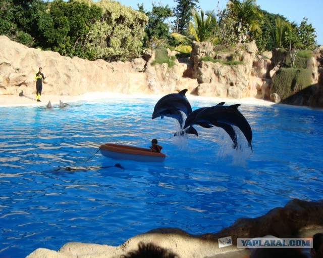 Хочу дачу на канарах!