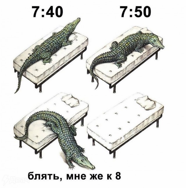 Завалялось тут случайно немного забавных картинок