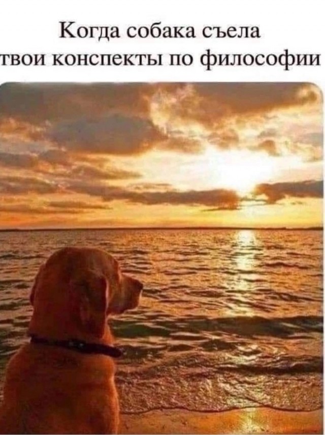 Так себе картинки 23.09.24