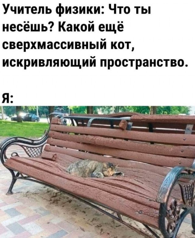 Веселые картинки к маленькой пятнице (23.10)