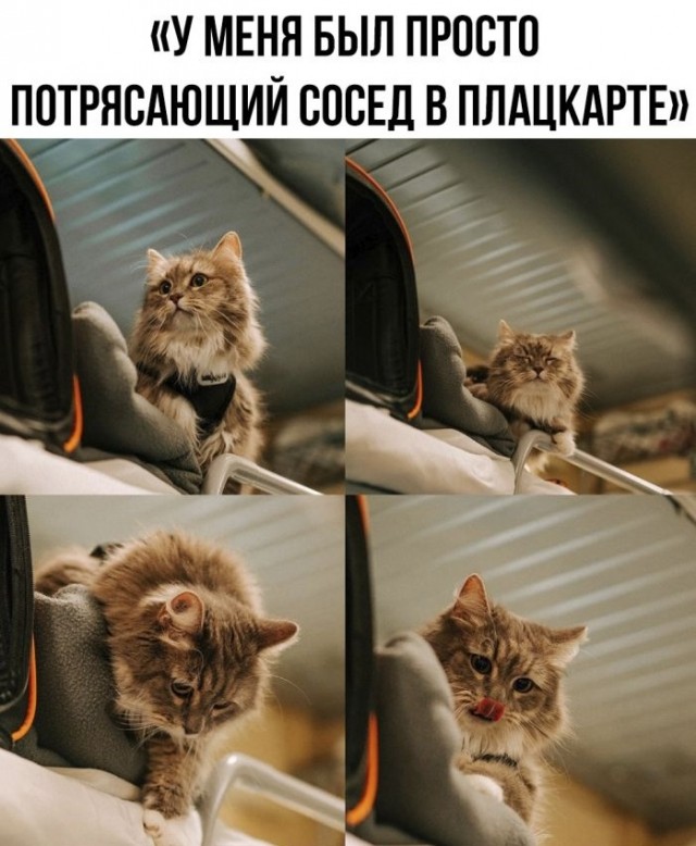 Картинки разные с надписями и без