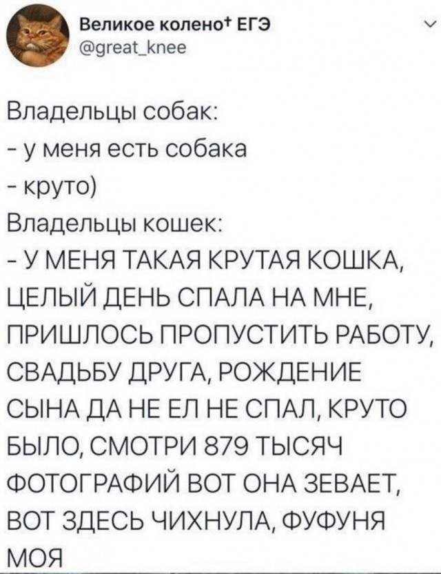 Так себе картинки 18.03.25