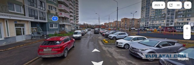 Массовое отравление собак в подмосковном Красногорске