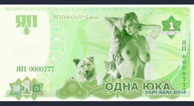 У нас котенок!