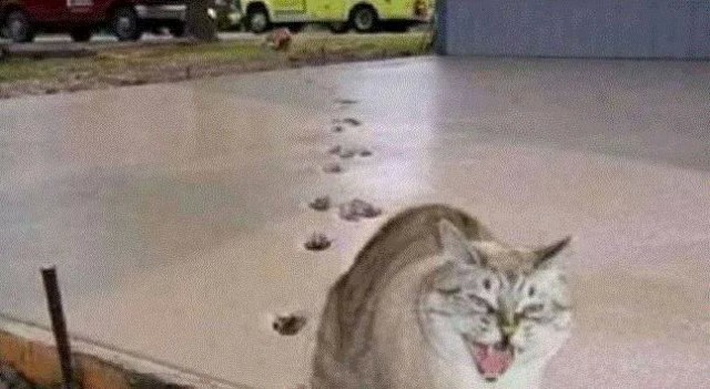 Бетонные дороги в Германии