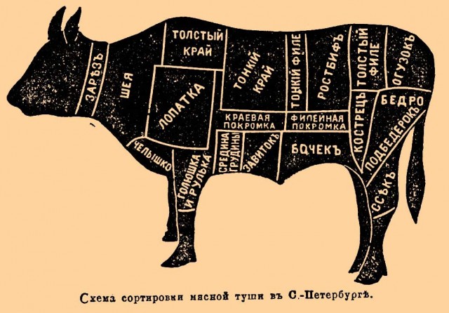 Схему торговли органами умерших раскрыли в Питере