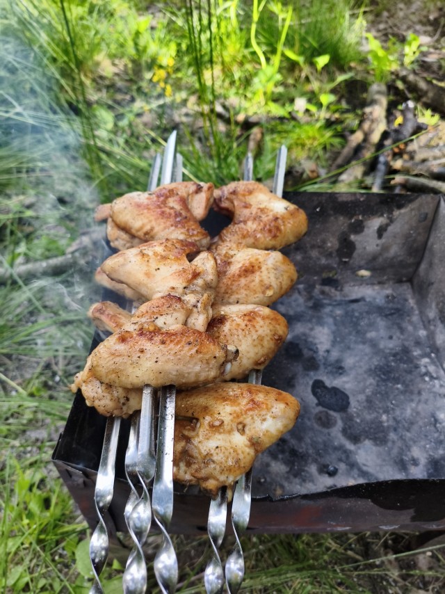 Как я на шашлыки пошёл.