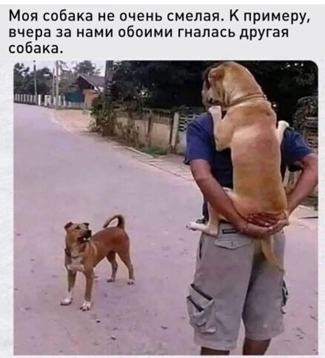 Так себе картинки 21.06.26