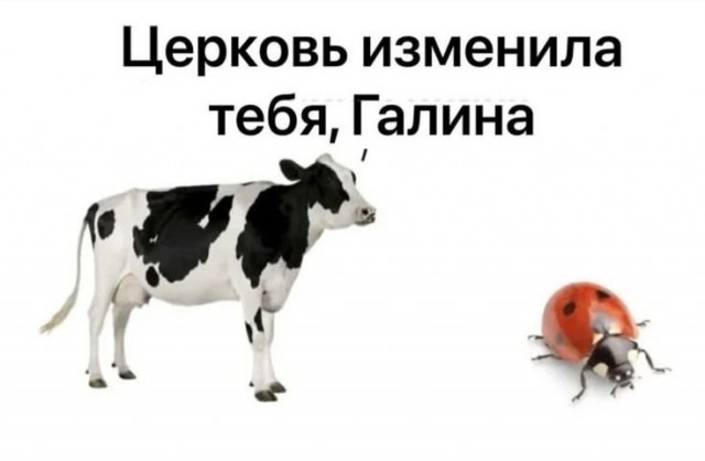 мемчики
