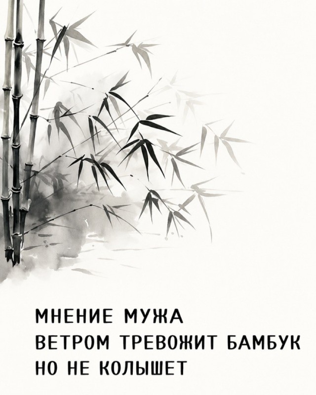 Так себе картинки 29.07.26