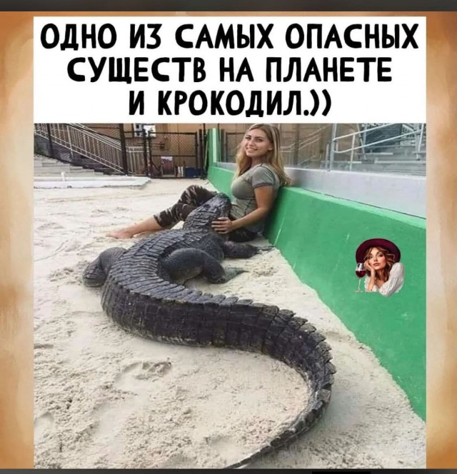 Картинки для деградации 251 (разной степени свежести)