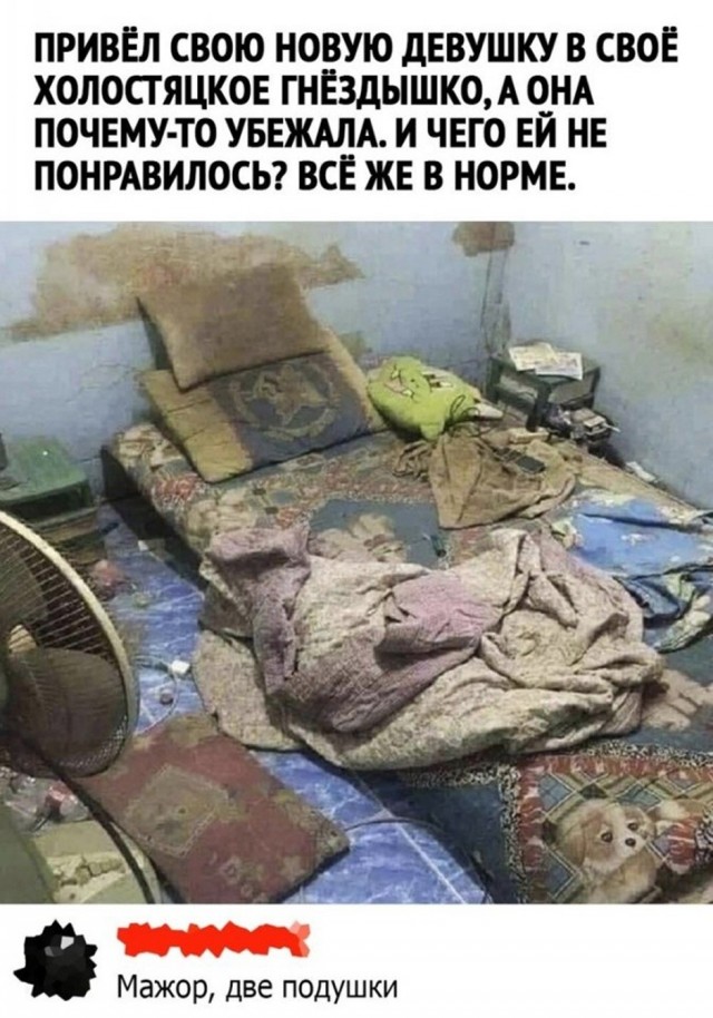 Так себе картинки 03.10.26