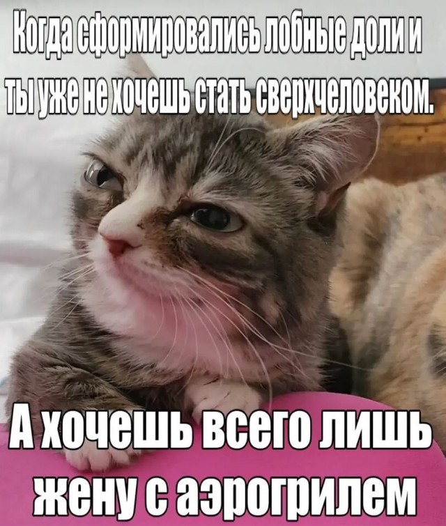 Солянка без копчёностей