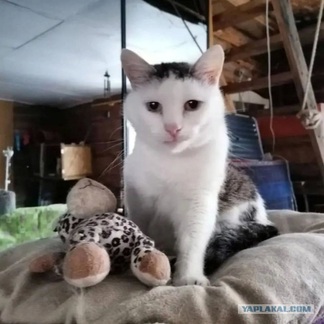 Совсем не трус