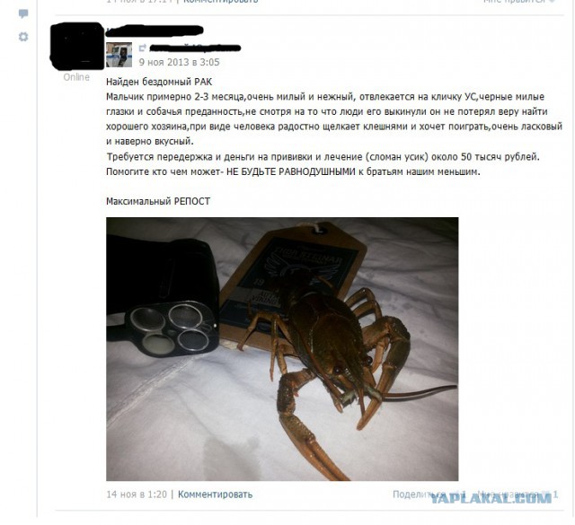 Смешные комментарии из социальных сетей