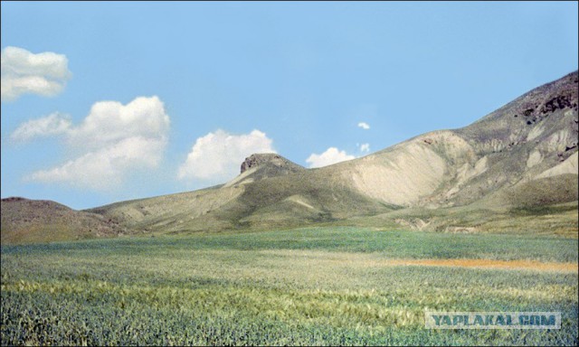 Крым, 1978-1983 годы