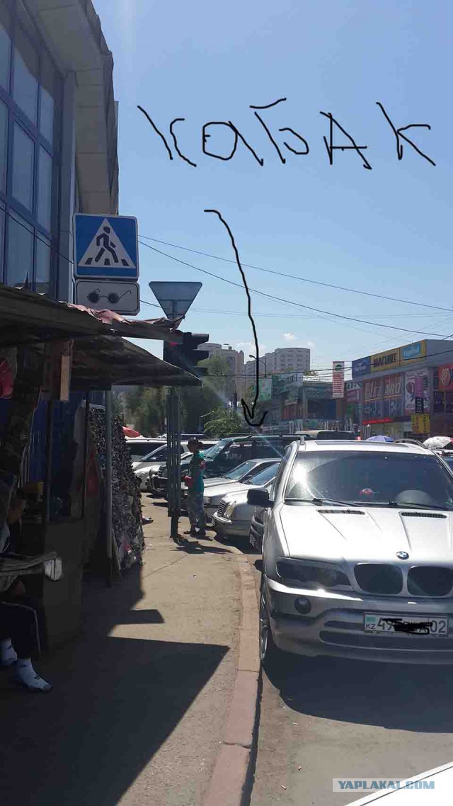 Проснулся с утра