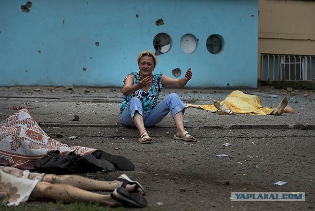 Полгода войны в Украине