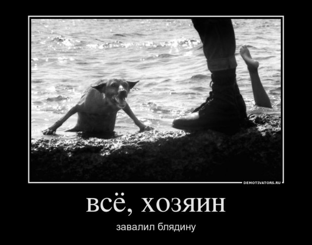 Весёлые картинки