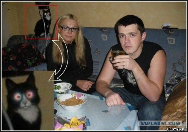 Забавные картинки.