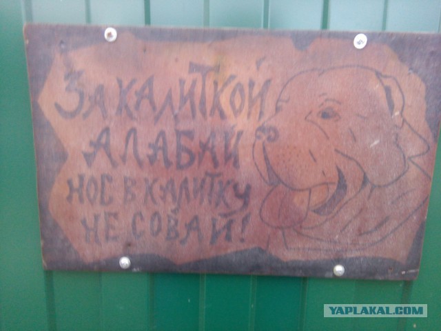 Прикольные картинки
