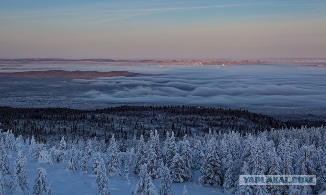 80 поразительных фотографий,