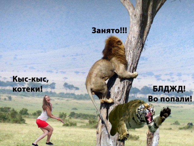 Фотожаба: чего-то хочется....