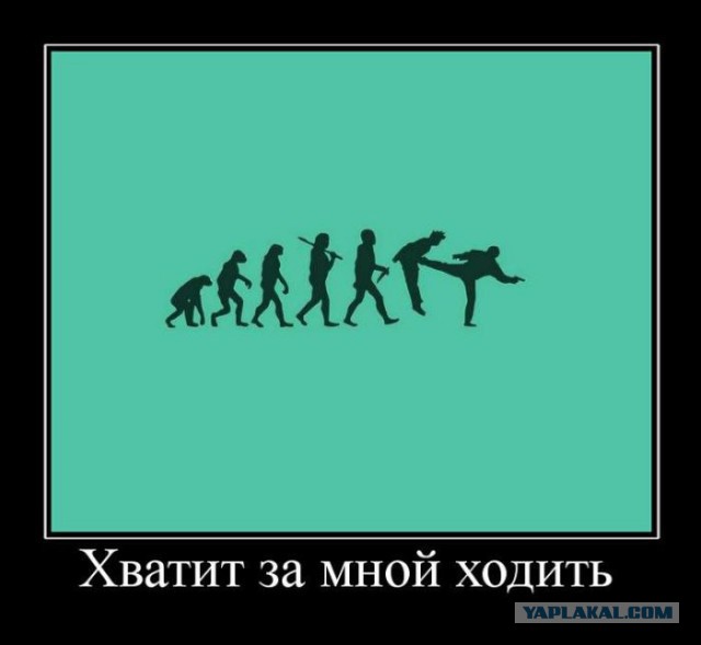 Веселые картинки