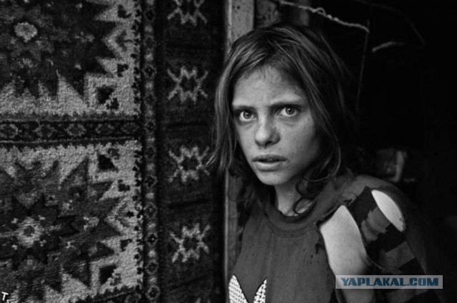 Этого кота убьют на ваших глазах за 5000 рублей