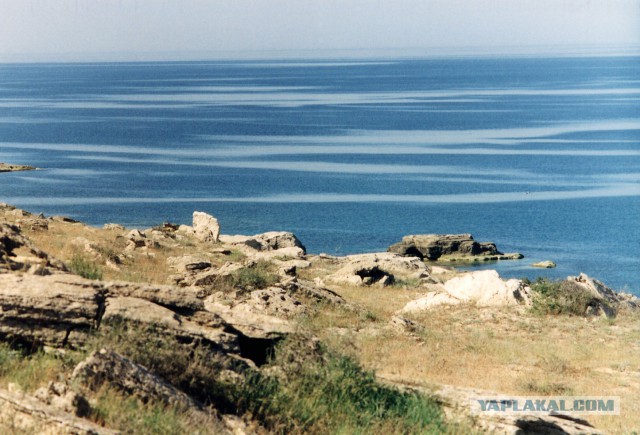 Степи Казахстана
