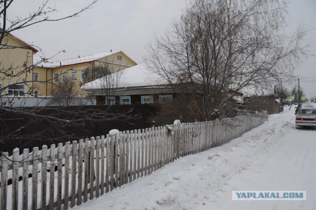 В Тюменском селе чиновники «добыли» новогоднюю елку в палисаднике у старушки