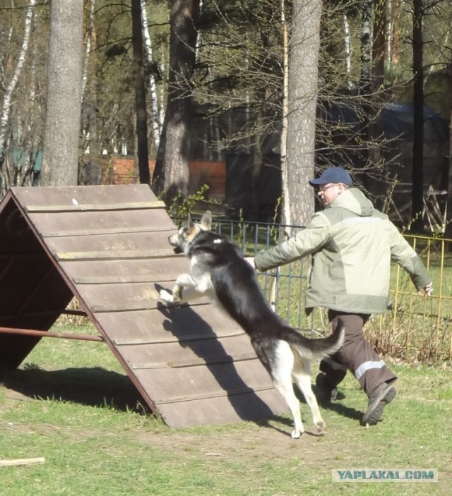 30 вещей, которые поймут только настоящие любители одиночества