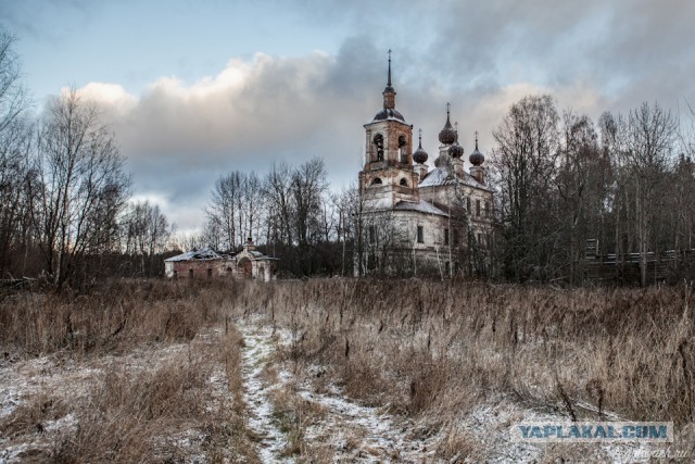 Родина. Костромская область.