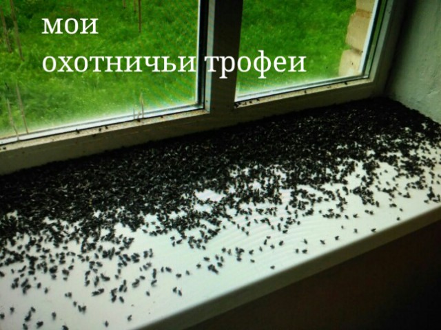 Где-то в уголке зарыдали все охотники страны!