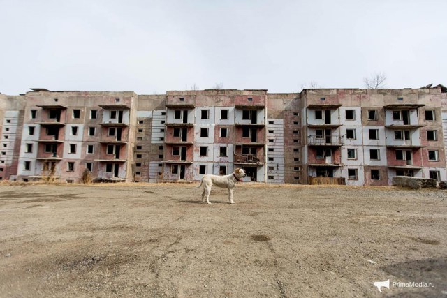 Последний житель брошенного городка в Сибири