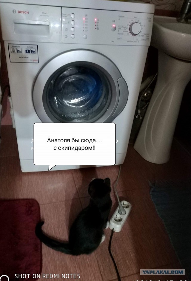 Диалоги о футболе, спорте, хобби.