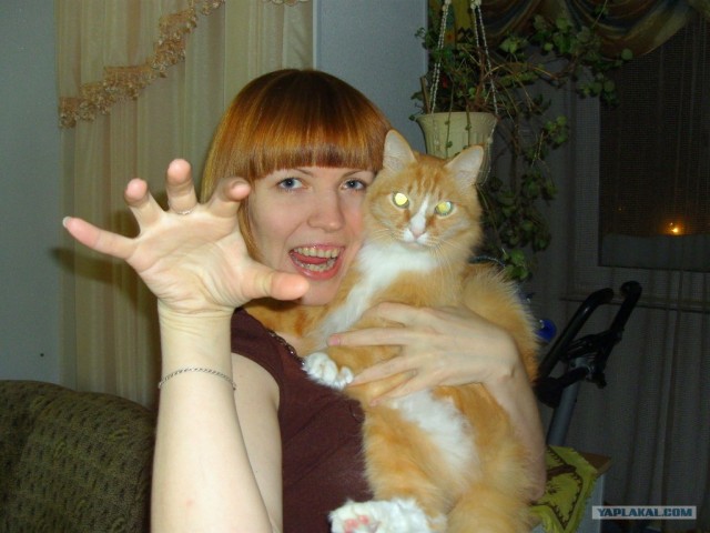 Первый котовторник октября