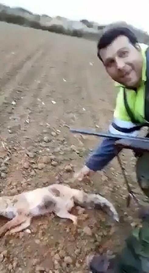 Издевательство охотника над раненой лисой возмутило и охотников, и зоозащитников. 18+