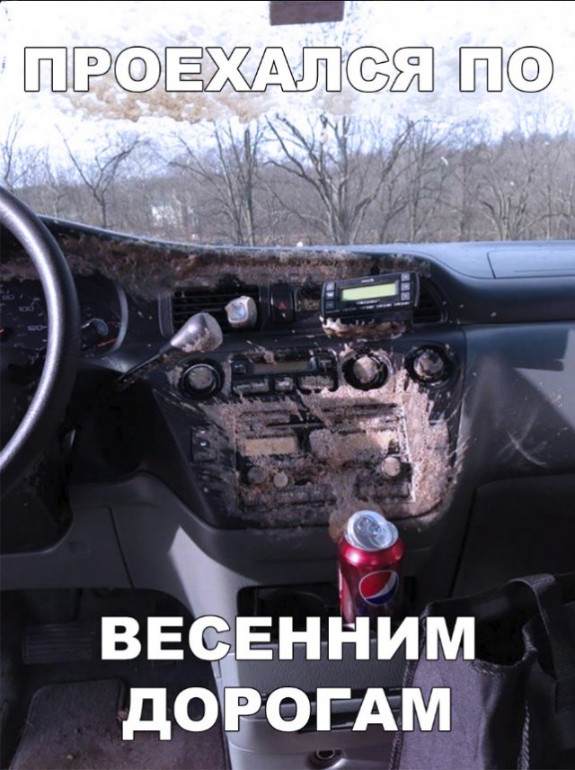 Прикольные картинки абавсём