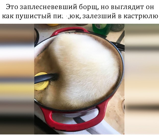 Прикольные комментарии и высказывания из Сети