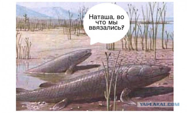 Культ моря