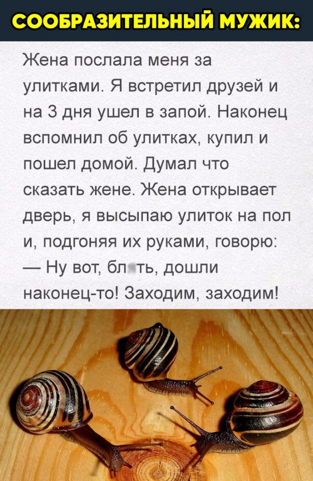 Чуток картинок. Ночная подборка 20.01.20