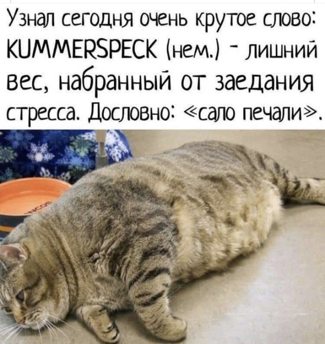 10 малоизвестных секретов человеческой психики