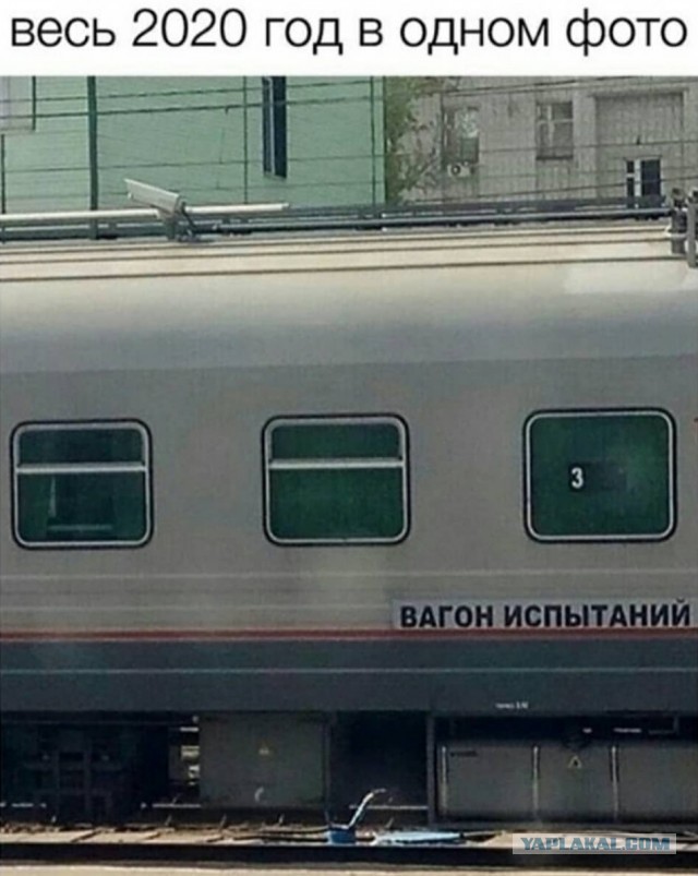 Юмор и прикольные картинки